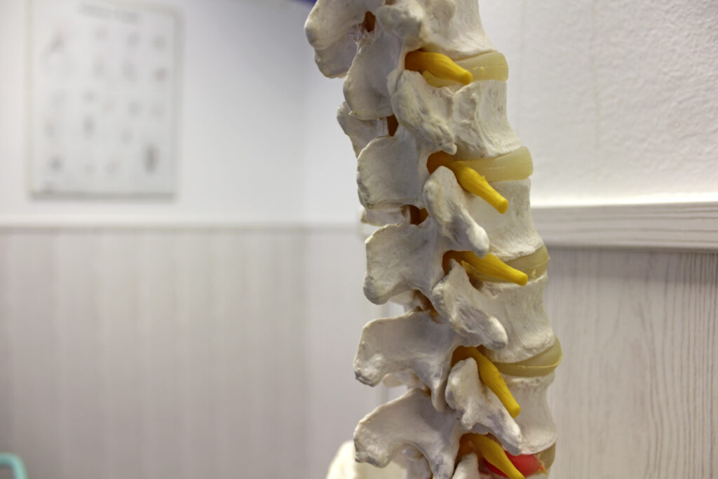 Fisioterapia y Osteopatía en Vicálvaro Madrid